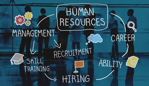 Bootcamp Diploma in Human Resource Management